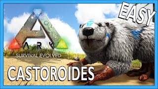 How To Tame A Castoroides In Ark Survival Evolved [upl. by Vevine607]