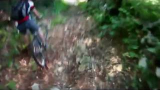 Monte Baldo Downhill Freeride Mountainbike [upl. by Gobert]