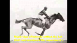 Muybridges quotFlying HorsequotEadweard Muybridge1878wmv [upl. by Llywellyn483]