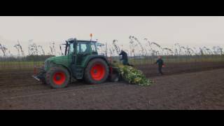 Boomkwekerij Maarten van Overbeek 2016 [upl. by Lybis]