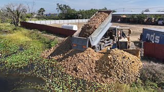 5Day Full Project Great Skill D53A Dozer Cutting Rock Soil into Water amp Heavy Trucks Loading [upl. by Yenaj]