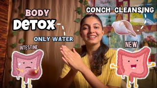 My experience of conch cleansing body detox “only salt amp water “ Shankha prakshalan 🐚 [upl. by Attekal]