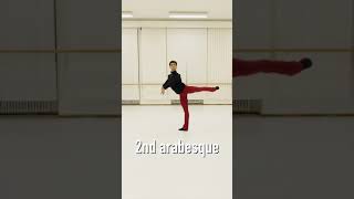 4 Arabesque Positions 🩰 Shorts ⎪Ballet Basics [upl. by Barnaba]