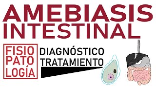 Amebiasis intestinal  Fisiopatología diagnóstico y tratamiento [upl. by Waters574]