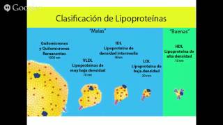 HIPERCOLESTEROLEMIA [upl. by Akel]