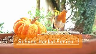 Schöne Herbstferien [upl. by Ebneter]