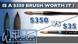 Is it worth it  350 Watercolour Brush vs 35 Watercolor Brush [upl. by Travax412]