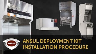 Wells Ventless Hood Ansul Deployment Video [upl. by Cassil]