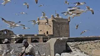 Essauouira [upl. by Anicul]