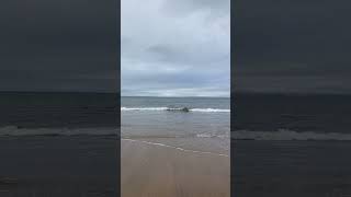 Seaside ASMR scotland coastal seaside scottish travel travelvlog [upl. by Marysa755]