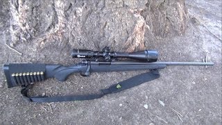 First Shots Remington 700 ADL 308 Win Rifle HD [upl. by Cariotta]