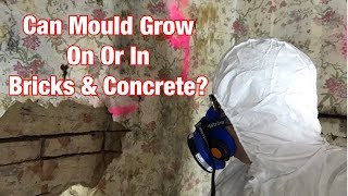 Can Mould Grow On Or In Bricks amp Concrete [upl. by Lisbeth354]