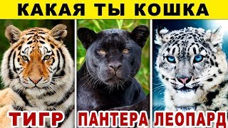 Тест КАКАЯ ТЫ КОШКА Какой ты Хищник из Семейства Кошачьих Невероятный тест на ХАРАКТЕР Точность [upl. by Ainel603]