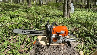 Stihl 400c review and some horselogging [upl. by Tennies]