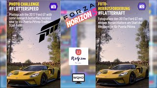 Forza Horizon 5 Foto Herausforderung FLATTERHAFT [upl. by Sillyhp346]