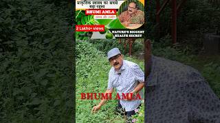 Bhumi Amla ke Chamatkari Fayde  Boost Your Health Naturally [upl. by Enihpad]