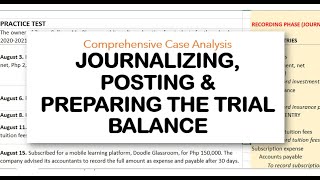 Journalizing Posting and Preparation of the Trial Balance  Comprehensive Case Analysis [upl. by Byrn]