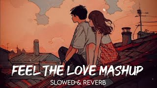 Romantic Love mashup  Bollywood Songs  Lofi Boy [upl. by Gazo517]