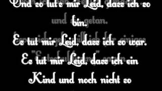 Vist  Es tut mir Leid Lyrics [upl. by Annairda73]