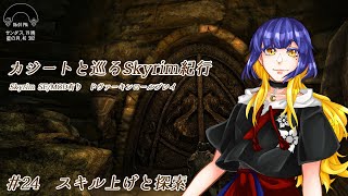 【SkyrimSE】カジートと巡るスカイリム紀行25【MOD有】 [upl. by Liddy]