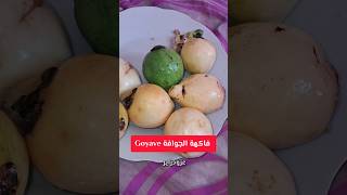 فاكهة الجوافة guava 😋 [upl. by Whitman]