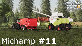 LS19  FS19 Timelapse Michamp 11  Seasons  Vermehrungsgras Dreschen [upl. by Oleg236]