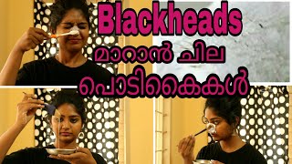 👃How to remove Blackheads from nose at homeNaturally in MALAYALAM SimplyMyStyle [upl. by Atinauj186]