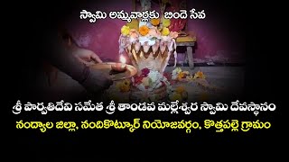 శ్రీ పార్వతిదేవి సమేత శ్రీ తాండవ మల్లేశ్వర స్వామి దేవస్థానం  కొత్తపల్లె  Nandyal Kottapalle [upl. by Atnek897]