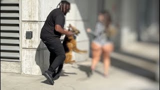 Fake Dog Prank On Baddie in Atlanta [upl. by Everard909]