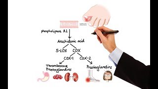 Pharmacology  NSAIDs amp PROSTAGLANDIN ANALOGS MADE EASY [upl. by Nylodnew597]