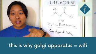 Threonine ft structural motifs explanation [upl. by Llesram]