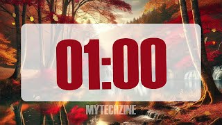 1 Minute Timer autumn 🍂 [upl. by Ettenal]