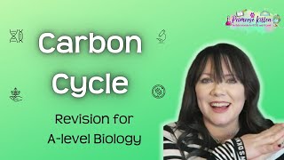 Carbon Cycle  Revision for Biology ALevel [upl. by Hanikehs]