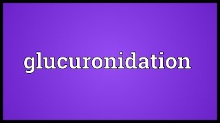 Glucuronidation Meaning [upl. by Colyer881]