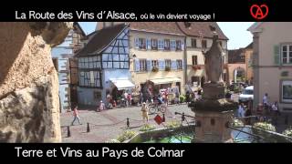 Terre et Vins au Pays de Colmar  Route des Vins dAlsace [upl. by Wolpert]