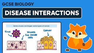 Disease Interactions  GCSE Biology [upl. by Lalage879]