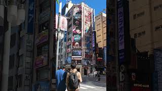 Kabukicho  Daytime  ｜Tokyo｜ Entertainment Center of Japan [upl. by Yekim]