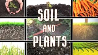 All About soil [upl. by Edak]