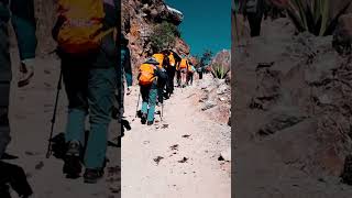 Inca Trail Tours incatrail machupicchu samtravel trekking sungate foodlover hiking [upl. by Tanya58]