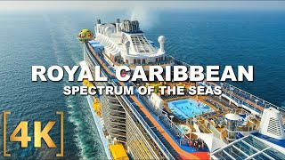 Spectrum of the Seas by Royal Caribbean Cruises  Part 5 [upl. by Rist487]