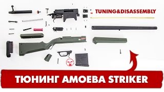 РАЗБОРКА И ТЮНИНГ AMOEBA STRIKER AIRSOFT SNIPER RIFLE disassembly amp tuning [upl. by Hezekiah]