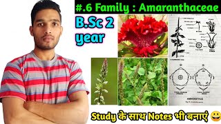 Family Amaranthaceae  Floral formula Vegetative characters Economic Importance BSc 2 year [upl. by Yousuf]