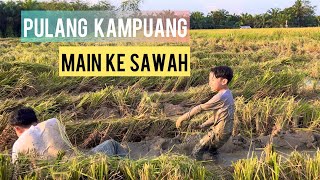 RANAH MINANG YO SABANA RANCAK TANAHNYO SUBUR❗️❗️PULANG KAMPUNG KE DHARMASRAYA GUMILANG MAIN KE SAWAH [upl. by Reddin]