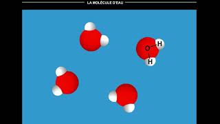 Mécanisme de la dissolution du chlorure de sodium dans leau [upl. by Marlo191]