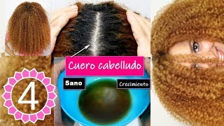 Cómo Hacer un Exfoliante Capilar Casero para Crecimiento del Cabello♥️ Part 4 Reto Crece Fast 2019 [upl. by Ahsatniuq458]