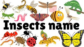 Insects name  कीड़ो के नाम  Some insects name Insects name with spellings [upl. by Nonac]