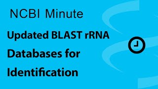 NCBI Minute Updated BLAST rRNA Databases for Identification [upl. by Lubet]