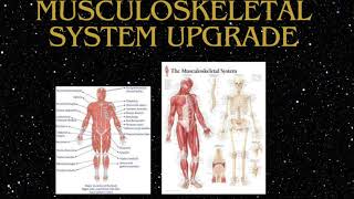 Musculoskeletal System Upgrade  Morphic Field FORCED [upl. by Pucida452]