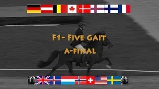 F1 Five Gait AFinal WC Icelandic Horses Islandpferde WM VM Islandshästar 2013 [upl. by Sairu]