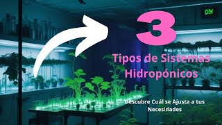 Tipos de Sistemas Hidropónicos [upl. by Magnien]